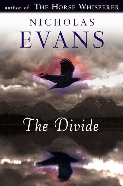 Book cover of The Divide