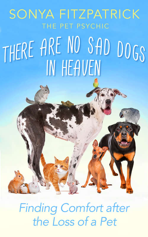 Book cover of There Are No Sad Dogs In Heaven: Finding Comfort After the Loss of a Pet