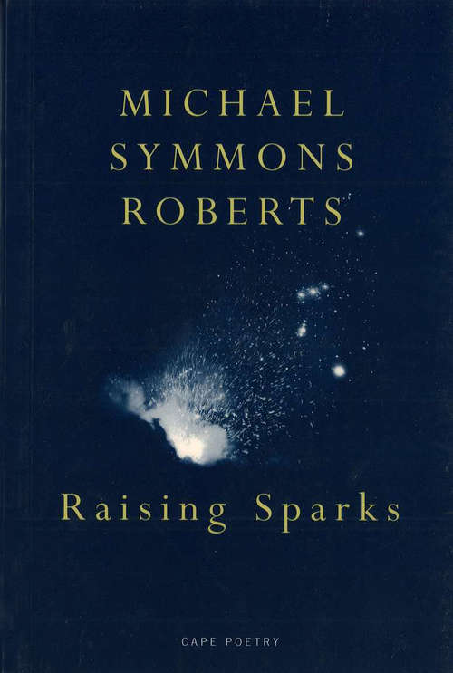 Book cover of Raising Sparks