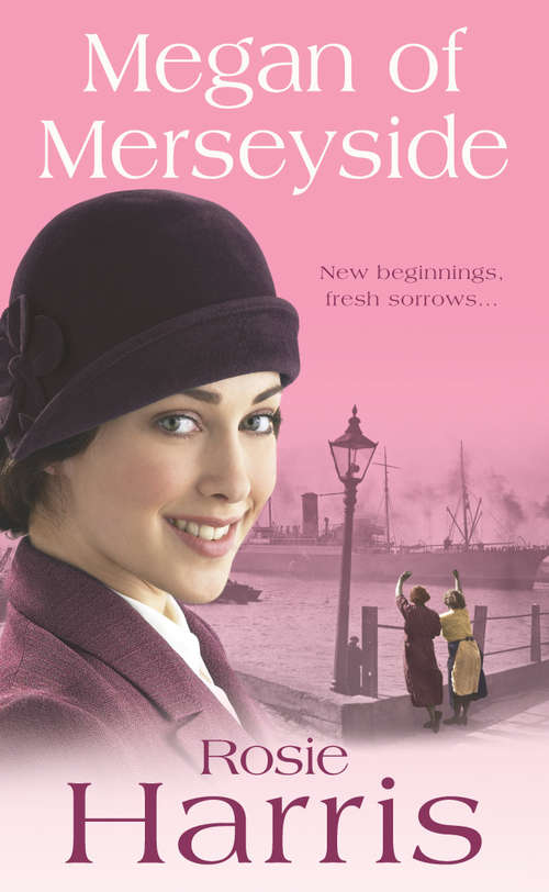 Book cover of Megan of Merseyside