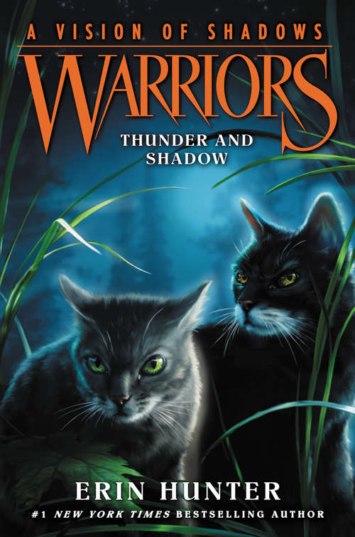 Book cover of Warriors: A Vision of Shadows #2: Thunder and Shadow