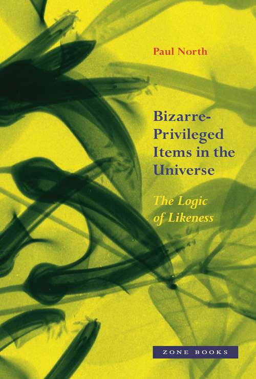 Book cover of Bizarre-Privileged Items in the Universe: The Logic of Likeness