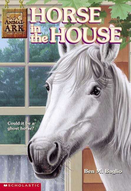 Book cover of Horse in the House (Animal Ark #26)