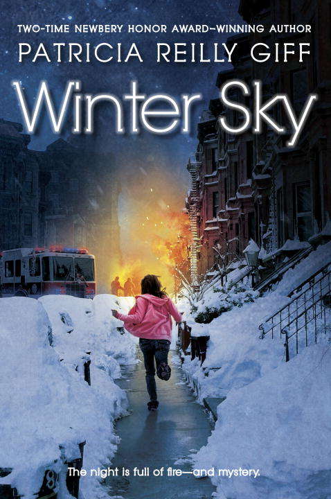 Book cover of Winter Sky