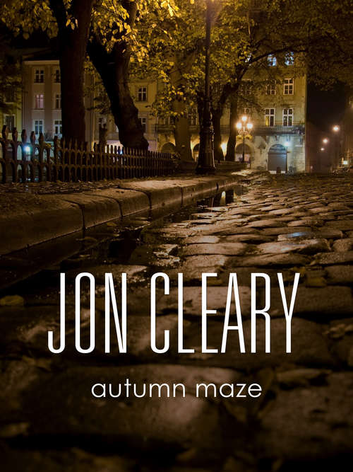 Book cover of Autumn Maze