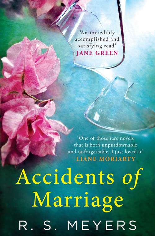 Book cover of Accidents of Marriage