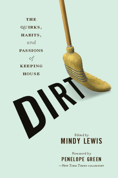 Book cover of DIRT