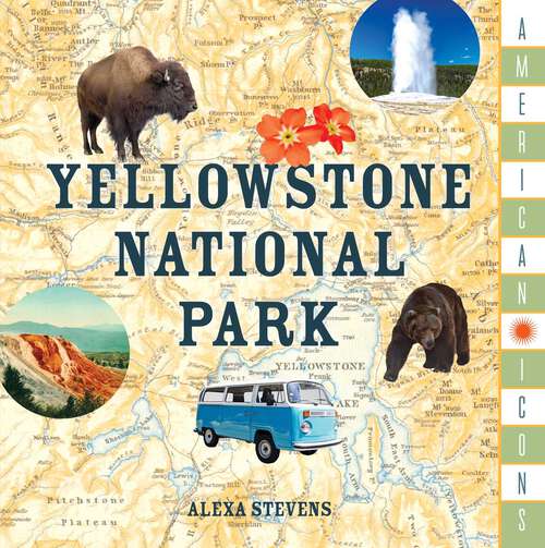 Book cover of American Icons: Yellowstone National Park