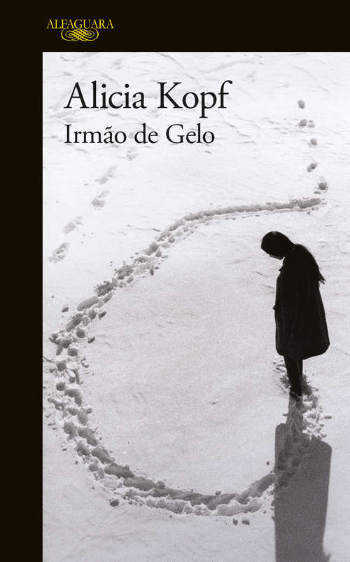 Book cover of Irmão de gelo