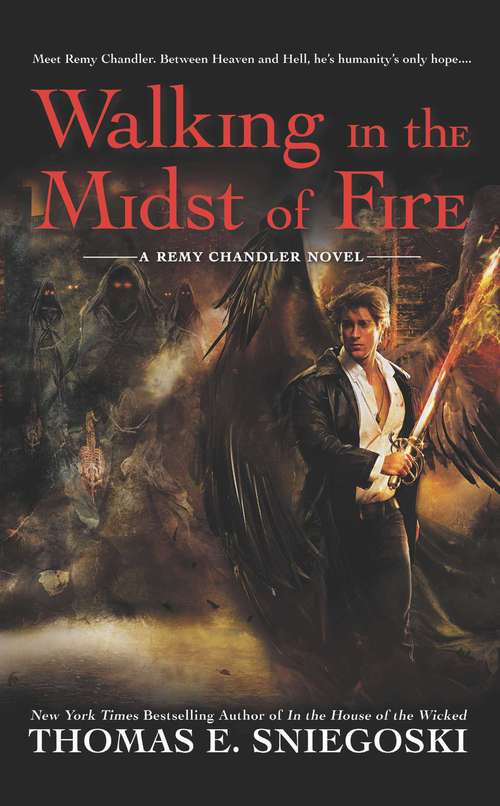 Book cover of Walking In the Midst of Fire