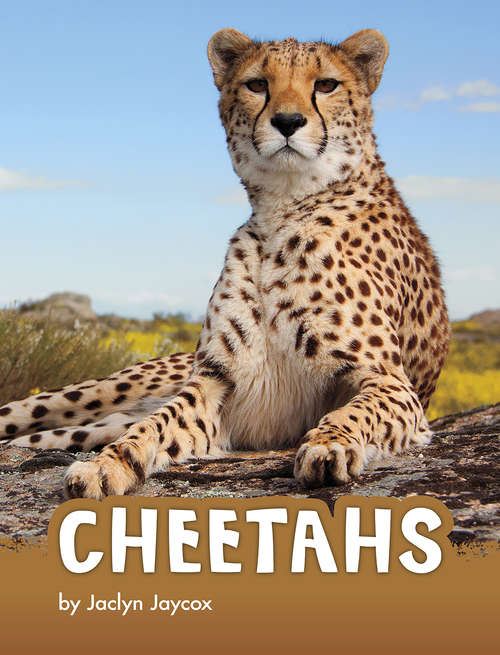 Book cover of Cheetahs (Animals)
