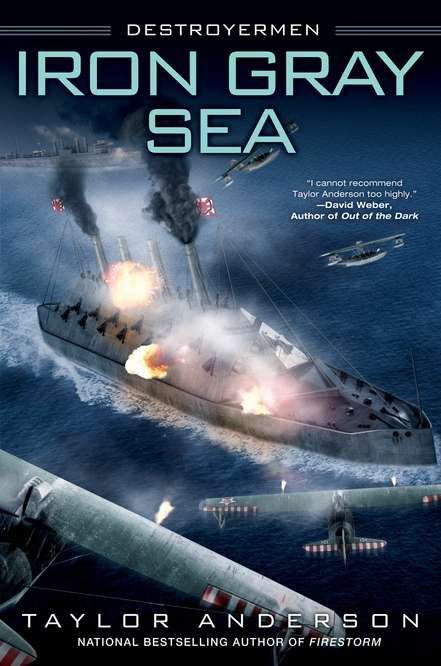 Book cover of Iron Gray Sea (Destroyermen, Book #7)