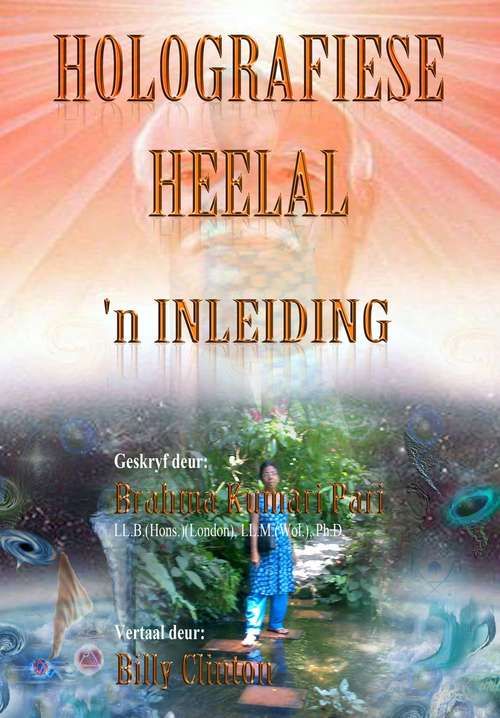 Book cover of Holografiese Heelal: 'n Inleiding