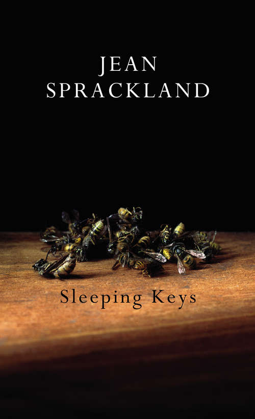 Book cover of Sleeping Keys