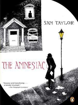 Book cover of The Amnesiac
