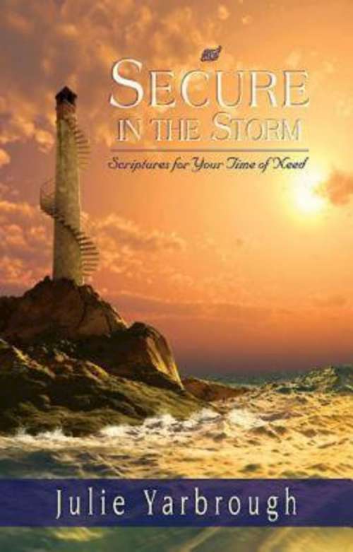 Book cover of Secure in the Storm