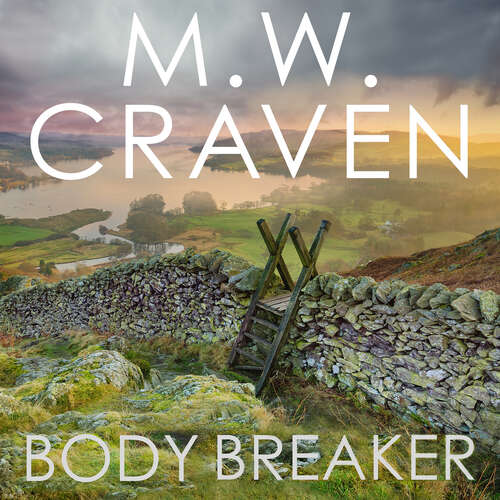 Book cover of Body Breaker (Avison Fluke)