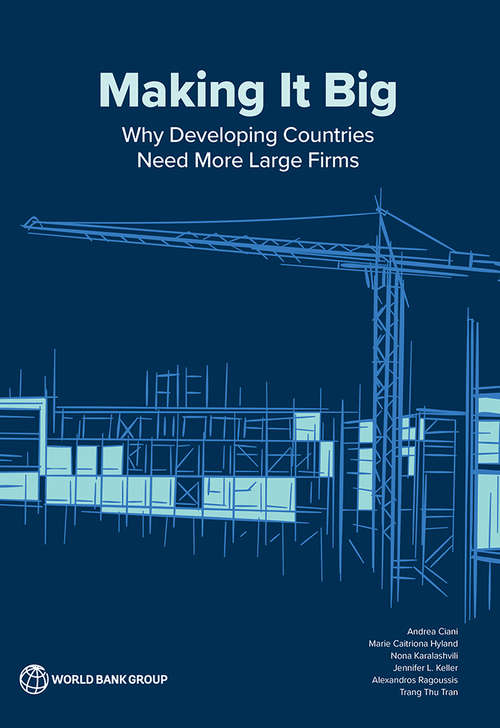 Making It Big: Why Developing Countries Need More Large Firms