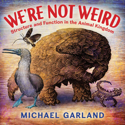 Book cover of We're Not Weird: Structure and Function in the Animal Kingdom