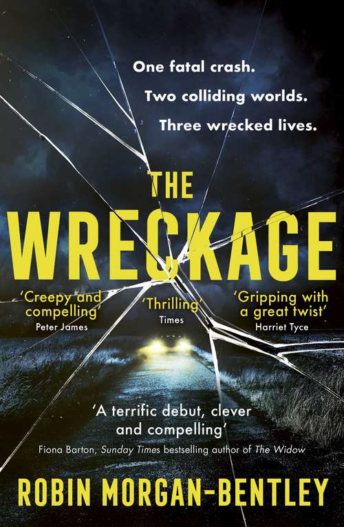 Book cover of The Wreckage: An emotionally-charged thriller about one fatal crash, two colliding worlds and three wrecked lives
