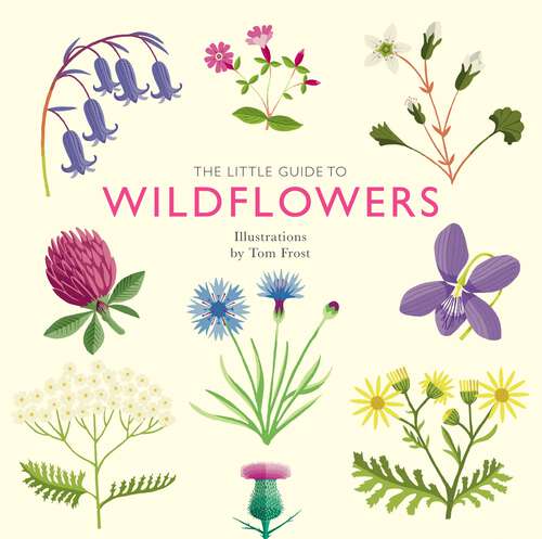 Book cover of The Little Guide to Wildflowers (Little Guides)