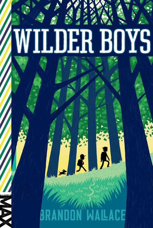 Book cover of Wilder Boys