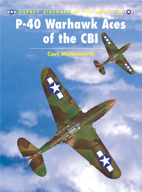 Book cover of P-40 Warhawk Aces of the CBI