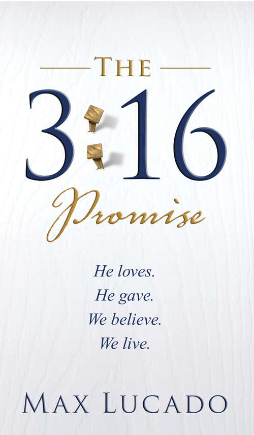 Book cover of The 3:16 Promise