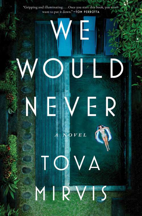 Book cover of We Would Never: A Novel
