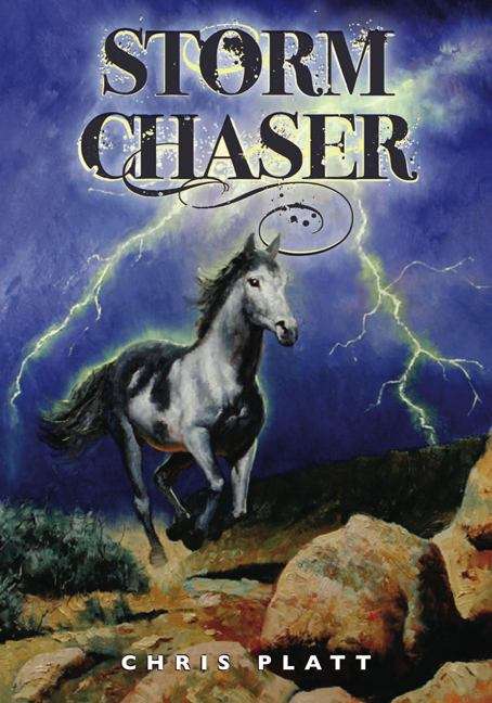 Book cover of Storm Chaser