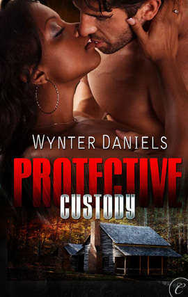 Book cover of Protective Custody