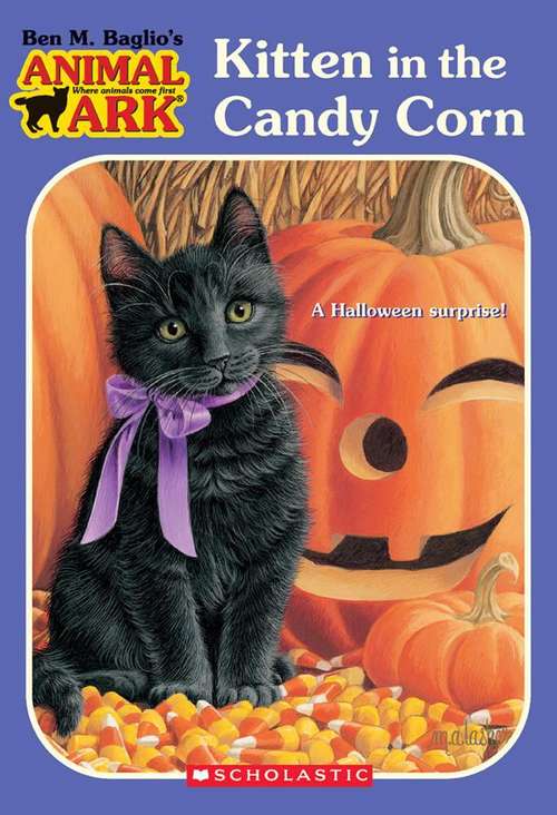 Book cover of Kitten in the Candy Corn (Animal Ark #41)