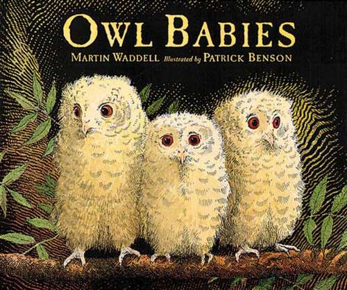 Book cover of Owl Babies