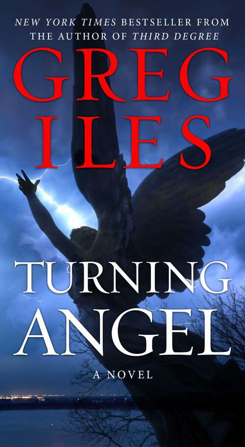 Book cover of Turning Angel (Penn Cage #2)