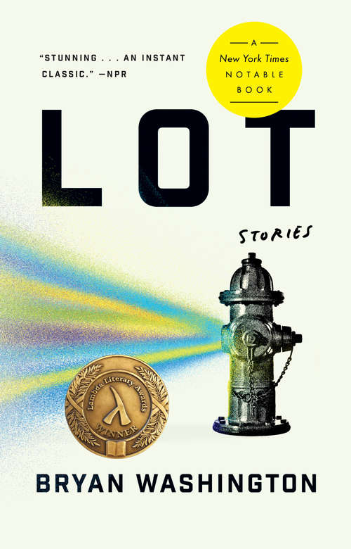 Book cover of Lot: Stories