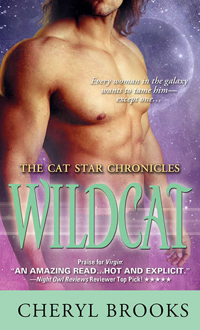 Book cover of Wildcat