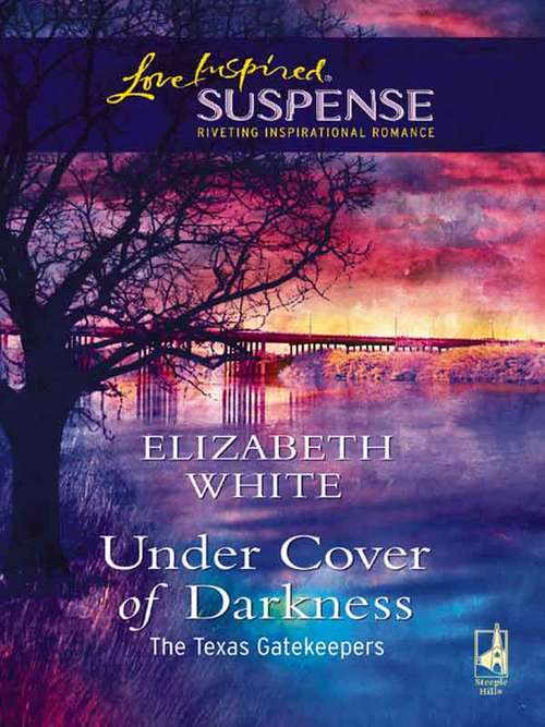 Under Cover of Darkness (The Texas Gatekeepers)
