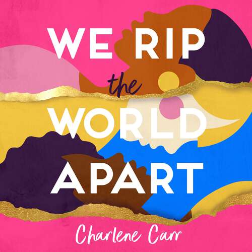 Book cover of We Rip the World Apart: A sweeping story about motherhood, race and secrets