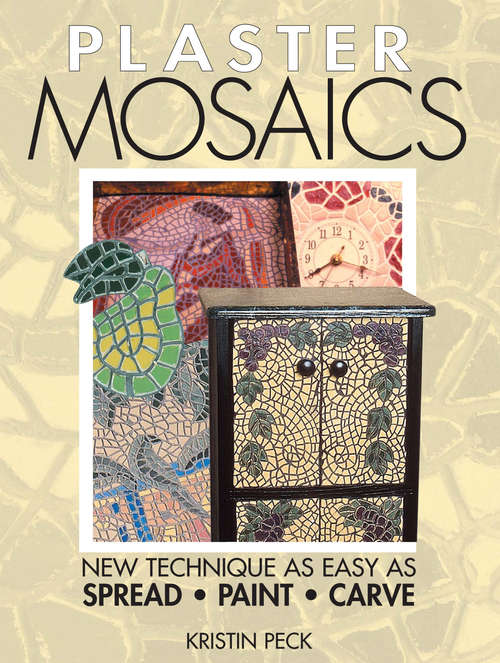 Book cover of Plaster Mosaics