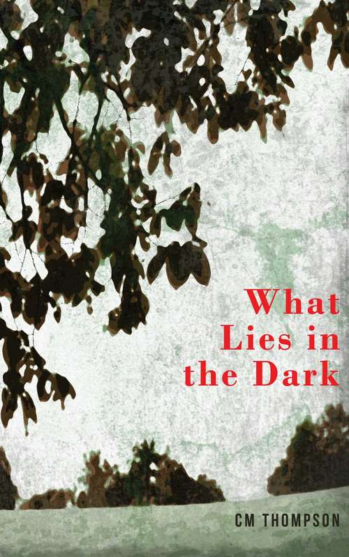 Book cover of What Lies in the Dark