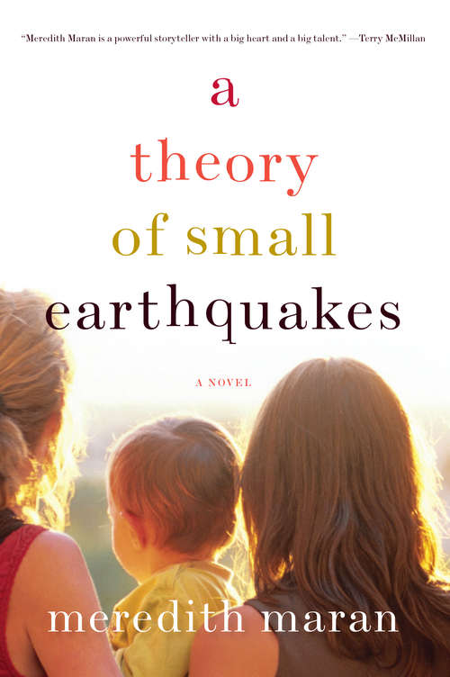 Book cover of A Theory of Small Earthquakes