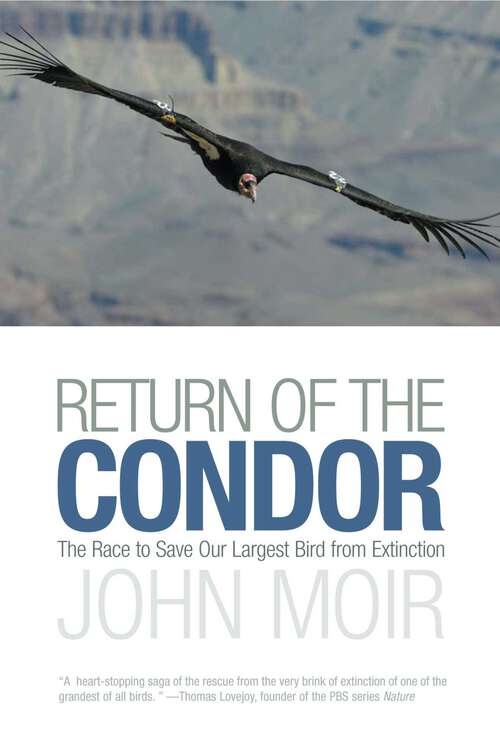 Book cover of Return of the Condor: The Race to Save Our Largest Bird from Extinction