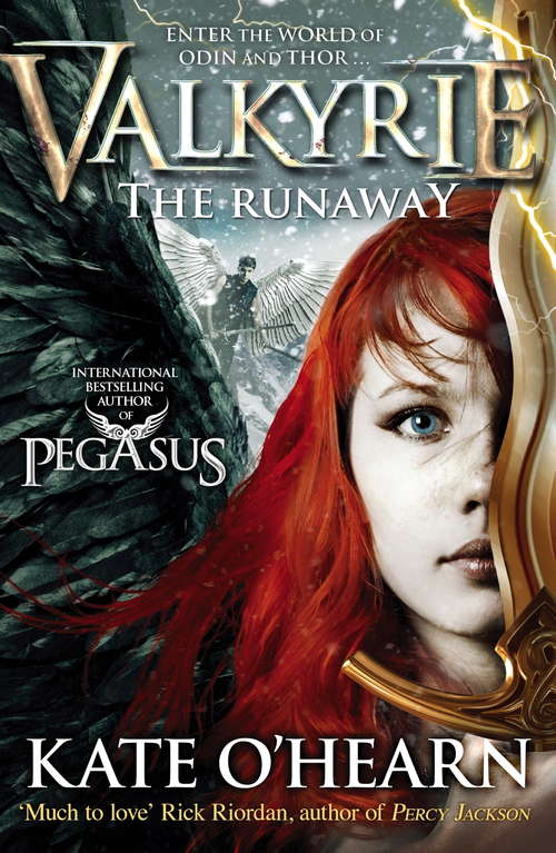 The Runaway: Book 2 (Valkyrie #2)