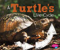 A Turtle's Life Cycle (Explore Life Cycles Ser.)