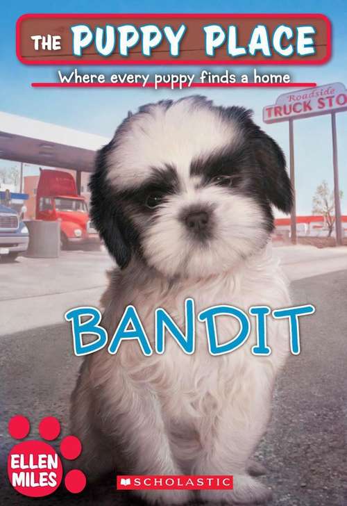 Book cover of Bandit (The Puppy Place #24)
