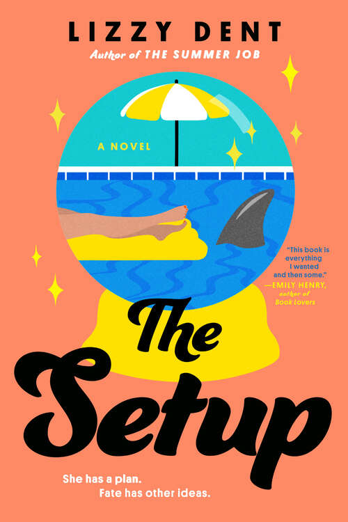 Book cover of The Setup