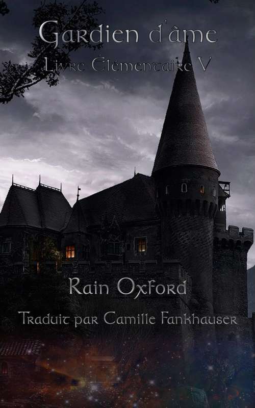 Book cover of Gardien d'âme - Livre Élémentaire V