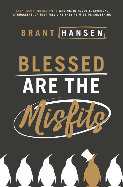 Book cover of Blessed Are the Misfits: Great News for Believers who are Introverts, Spiritual Strugglers, or Just Feel Like They're Missing Something