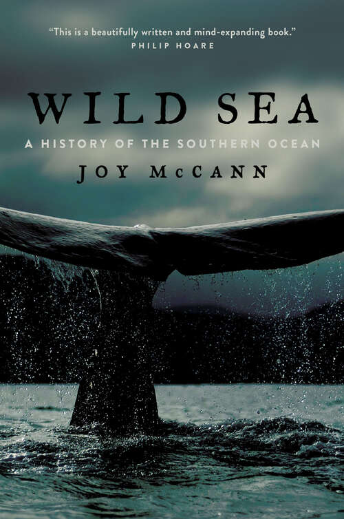 Book cover of Wild Sea: A History of the Southern Ocean