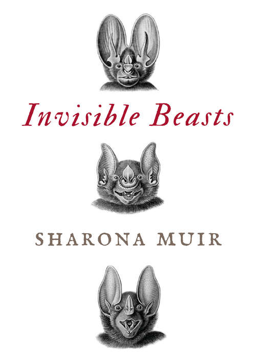 Book cover of Invisible Beasts